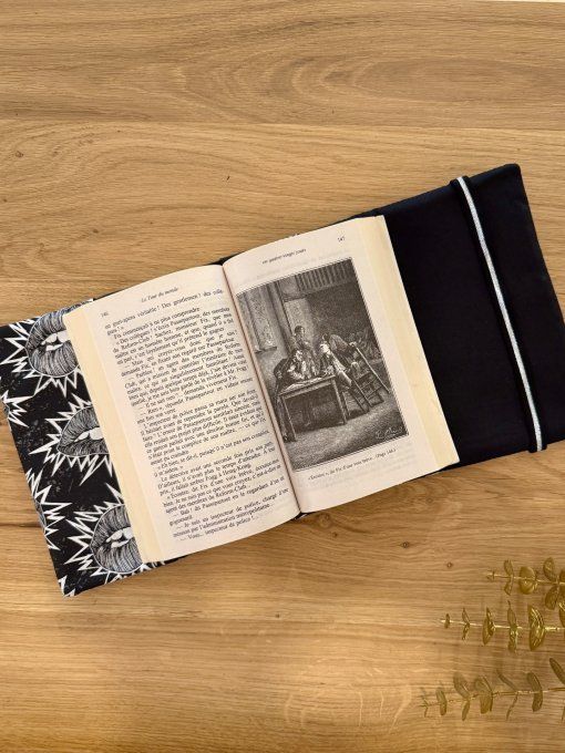 Couvre livre Toxic Kiss